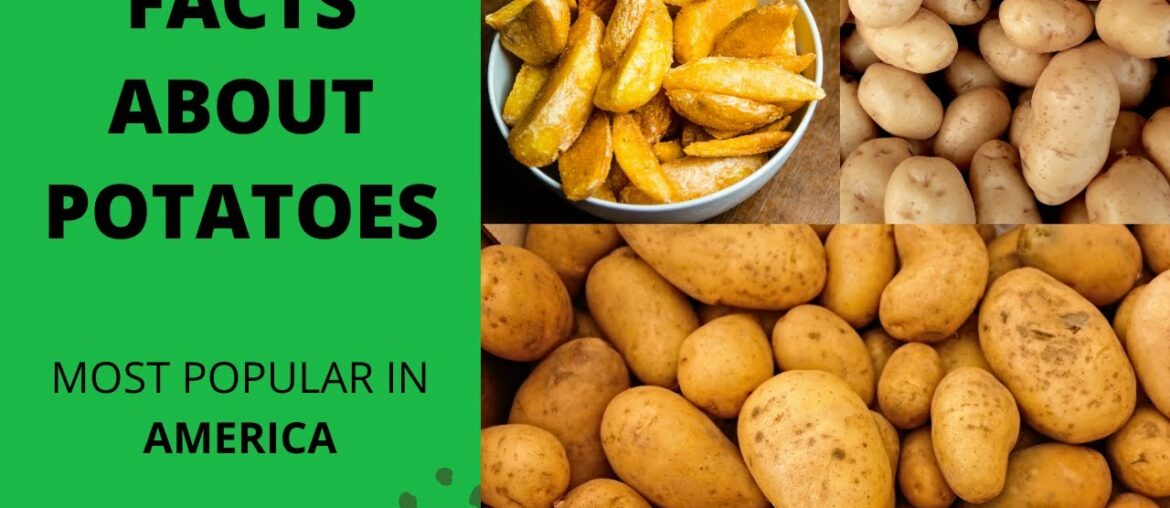 Fast facts About POTATOES! Has vitamins that are in orange!! Popular in AMERICA !!!