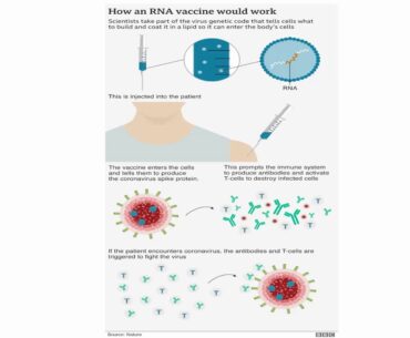 Understanding Corona Virus Vaccination: Immune systems and how the vaccination work