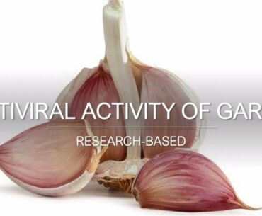 Antiviral Activity of Garlic + Garlic Immune Concoction Recipe (Rocket Fuel)