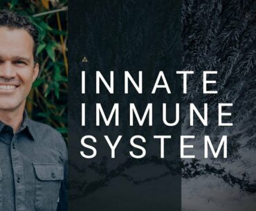 Zach Bush MD: Knowledge -  Innate Immune System