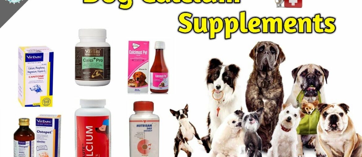 Multivitamin for dogs / Dog Calcium Supplements / Best Brands /