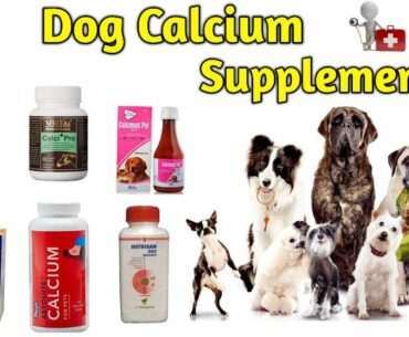 Multivitamin for dogs / Dog Calcium Supplements / Best Brands /