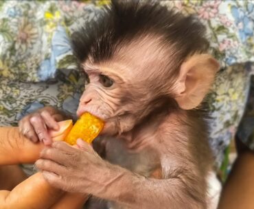 Get More Vitamin C !! Mom feeding orange to little adorable Toto get vitamin C for good health.