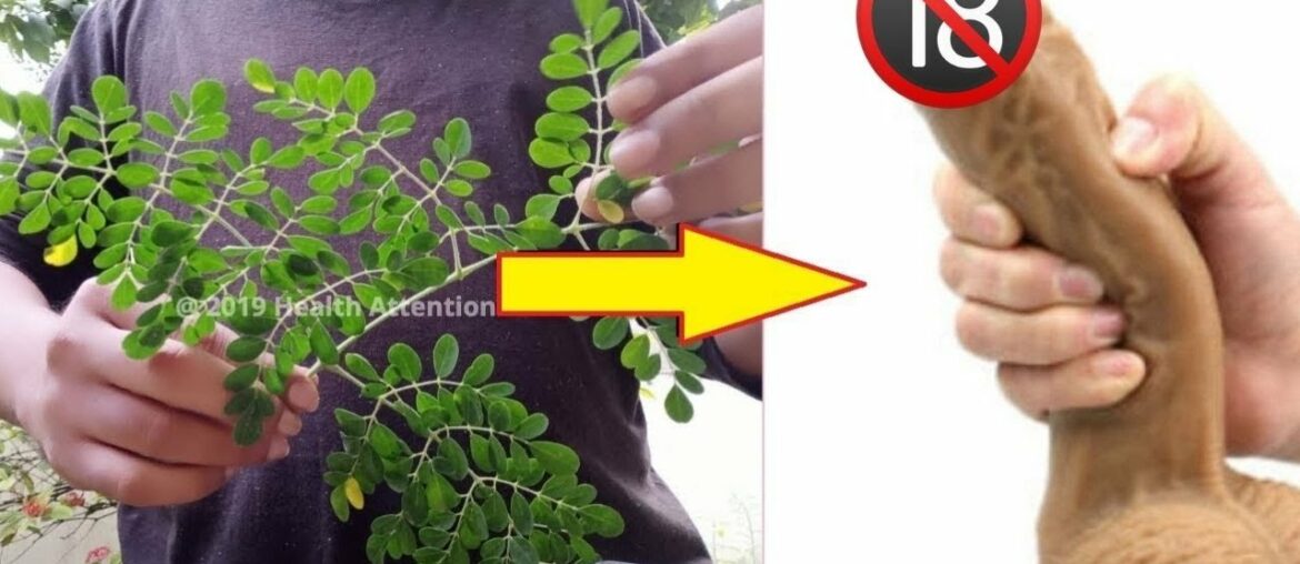 Stronger Unstoppable Erections With Moringa Leaves | Get Harder Erections Forever in 7 Minutes