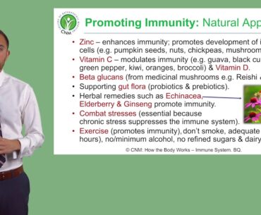 How to build Immunity Naturally
