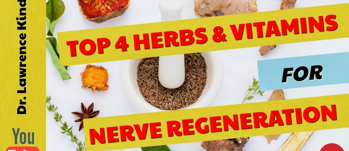 Health News & Health Tips | Top 4 Herbs And Vitamins For Nerve Regeneration