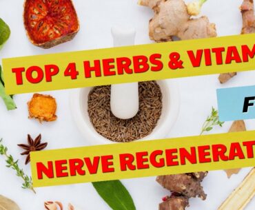 Health News & Health Tips | Top 4 Herbs And Vitamins For Nerve Regeneration