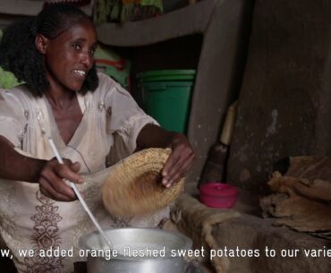 GIZ: Nutrient Dense Orange Fleshed Sweet Potatoes. Vitamin A source in Northern Ethiopia. 2019