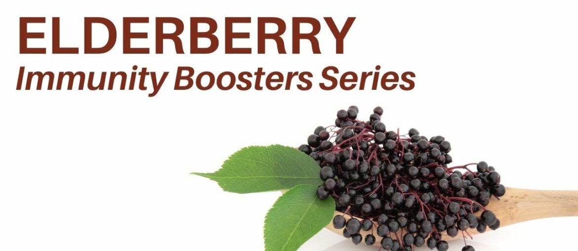 Elderberry - Immunity Booster Series Elderberry Benefits (Dr. Sebi Alkaline Diet)