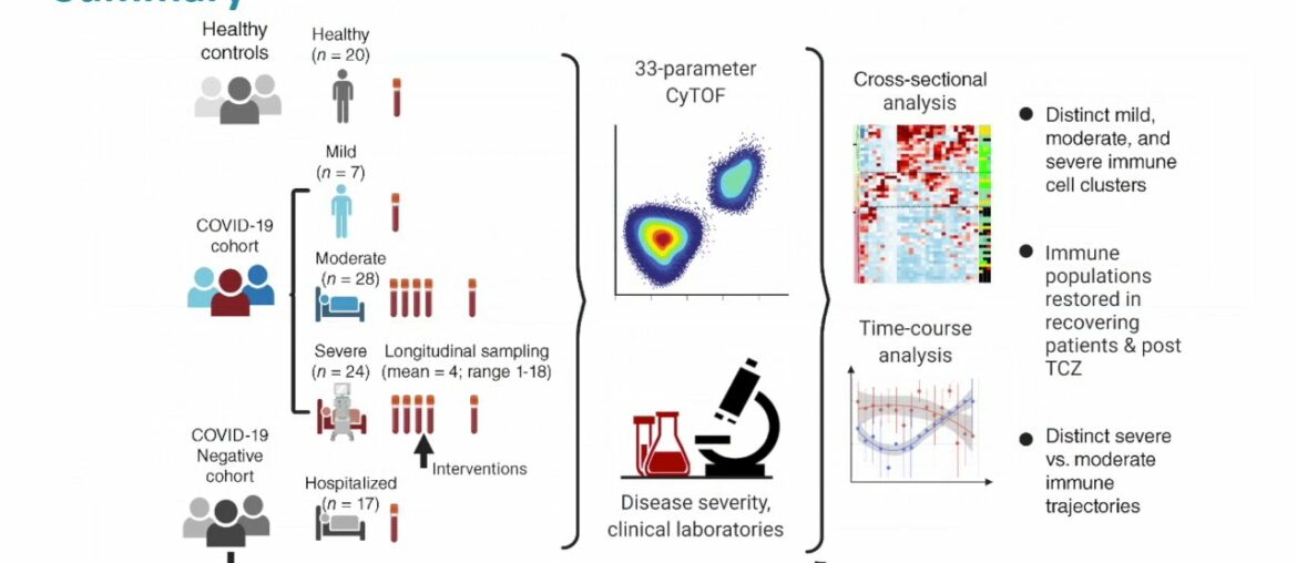 The COVID-19 immune landscape correlation with disease severity