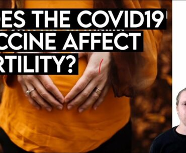 Does the COVID19 vaccine affects fertility (English version)