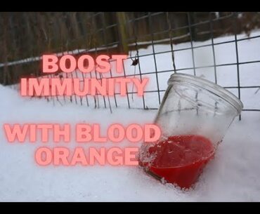 Winter Immunity Boosting Shot