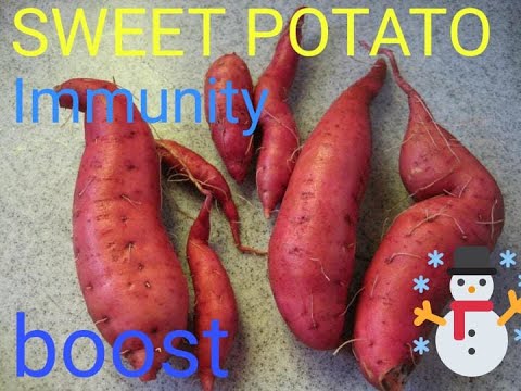 Sweet potatoes boost immunity system and has its benefits too!