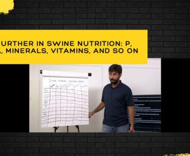 Going further in swine nutrition: P, Ca:P, Na, minerals, vitamins, and so on