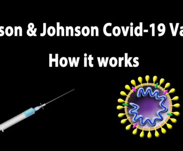 Johnson & Johnson’s COVID-19 Vaccine, How it works, Animation