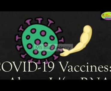 COVID-19 Vaccine: All Information, How it works? Immune system and m-RNA Vaccine, Pfizer/Moderna