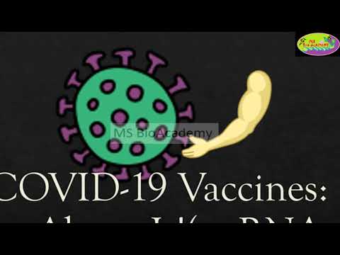 COVID-19 Vaccine: All Information, How it works? Immune system and m-RNA Vaccine, Pfizer/Moderna