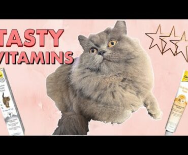 CAT EATS HEALTHY VITAMINS | HEALTHY VITAMINS FOR CATS