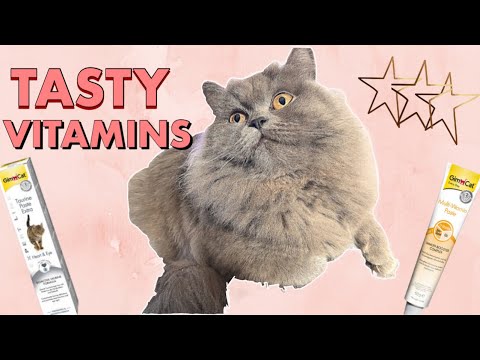 CAT EATS HEALTHY VITAMINS | HEALTHY VITAMINS FOR CATS