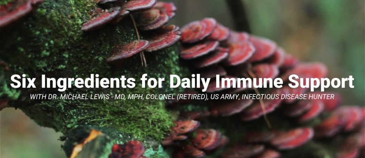 Six Ingredients for Daily Immune Support with Dr. Michael Lewis