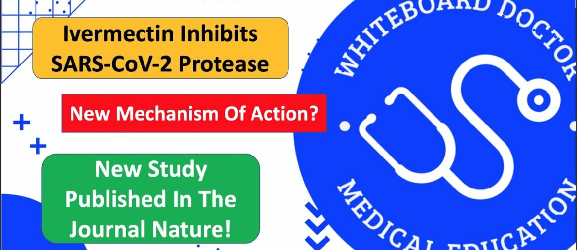 Ivermectin Inhibits A Critical SARS-CoV-2 Protease In COVID-19? New Study In The Journal Nature!