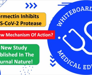 Ivermectin Inhibits A Critical SARS-CoV-2 Protease In COVID-19? New Study In The Journal Nature!