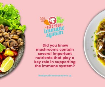 Feed Your Immune System