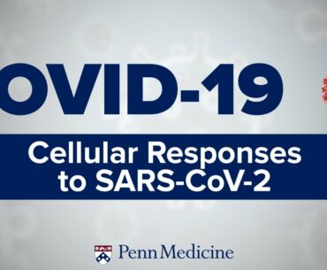 COVID-19 Symposium: Cellular Responses to SARS-CoV-2 | Dr. Michael Betts