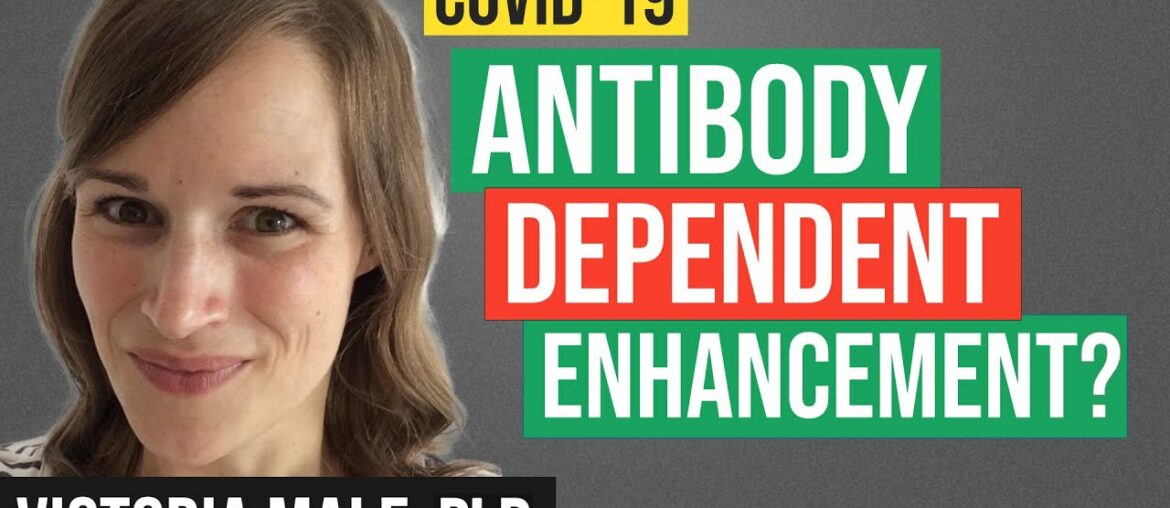 What is Antibody Dependent Enhancement? Does it Occur With COVID 19 Vaccines?
