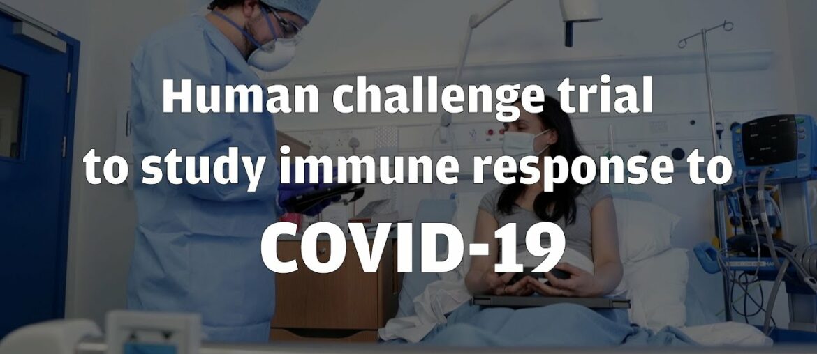 Human challenge trial to study immune response to COVID-19