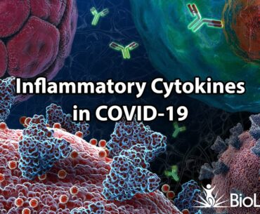 Inflammatory Cytokines in COVID-19