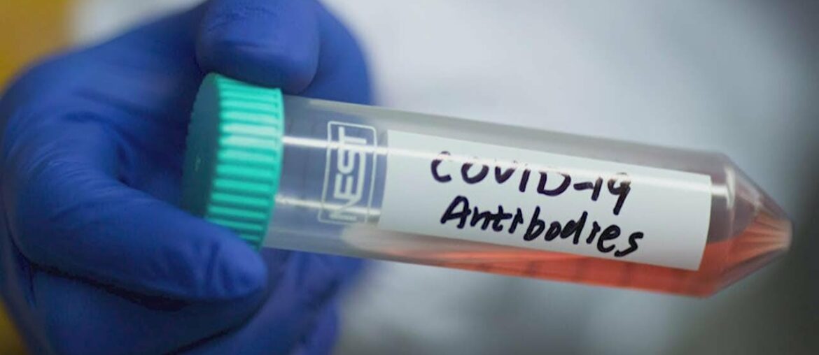 How long do antibodies protect you after you have had COVID-19?