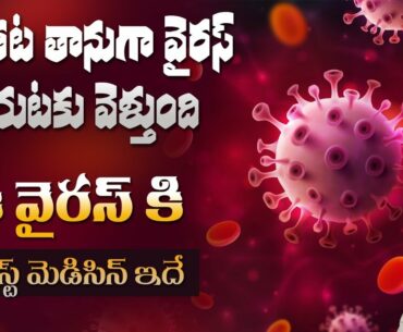 Foods to Boost your Immunity | Protects from the Virus | Stay Healthy | Dr. Manthena's Health Tips