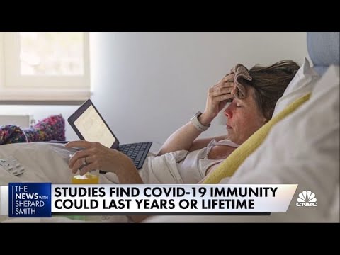 New studies find Covid-19 immunity could last years or a lifetime