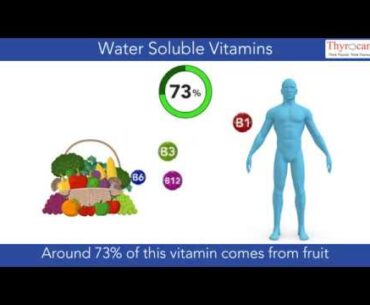 Water Soluble Vitamins - An overall nutrient window!