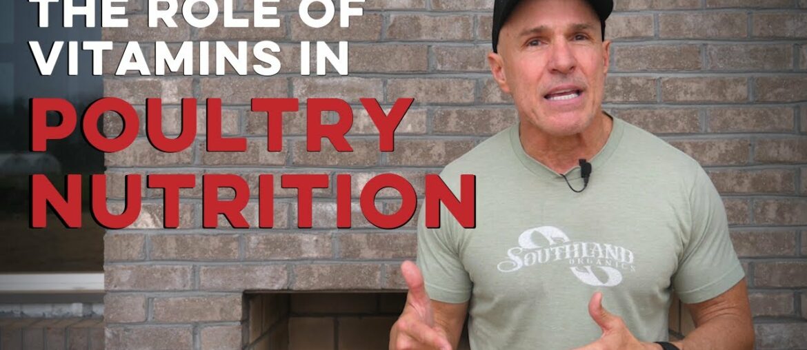 The Role of Vitamins in Poultry Nutrition