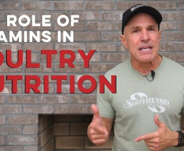 The Role of Vitamins in Poultry Nutrition