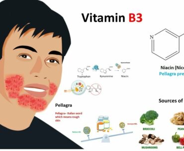 Vitamin B3 : Niacin (sources,metabolism and deficiency)