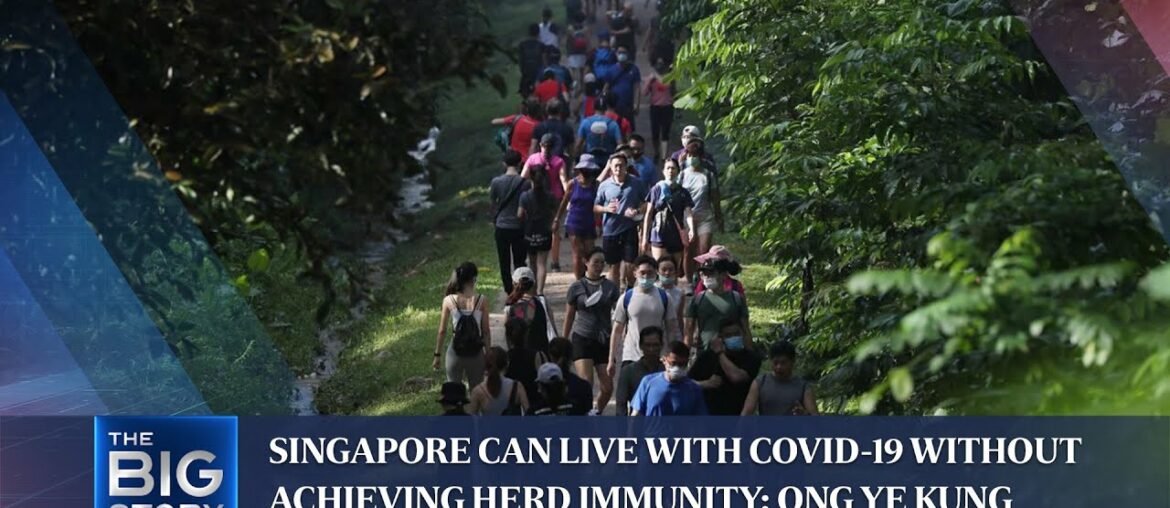 Singapore can live with Covid-19 without achieving herd immunity: Ong Ye Kung | THE BIG STORY