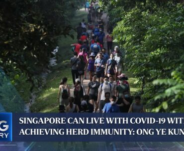Singapore can live with Covid-19 without achieving herd immunity: Ong Ye Kung | THE BIG STORY