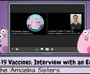 COVID-19 Vaccines: Interview with an Expert