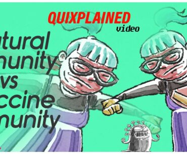 Quixplained: Natural immunity vs Vaccine immunity