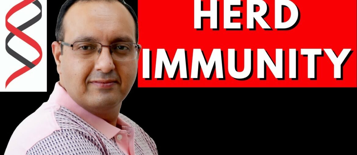 What is Herd Immunity? COVID19 | Immunology