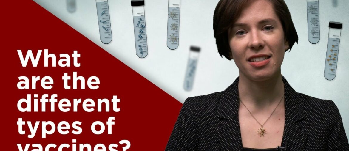 What are the different types of vaccines?