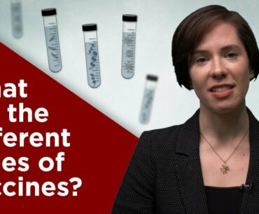 What are the different types of vaccines?