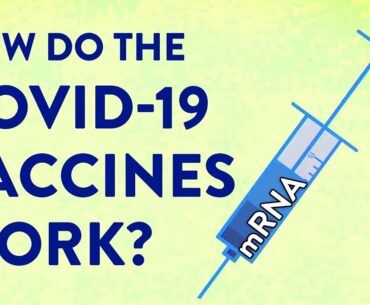 How the COVID-19 vaccines were created so quickly - Kaitlyn Sadtler and Elizabeth Wayne